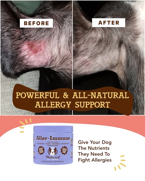 A split-screen comparison showing a dog's skin condition before and after using an allergy relief supplement.